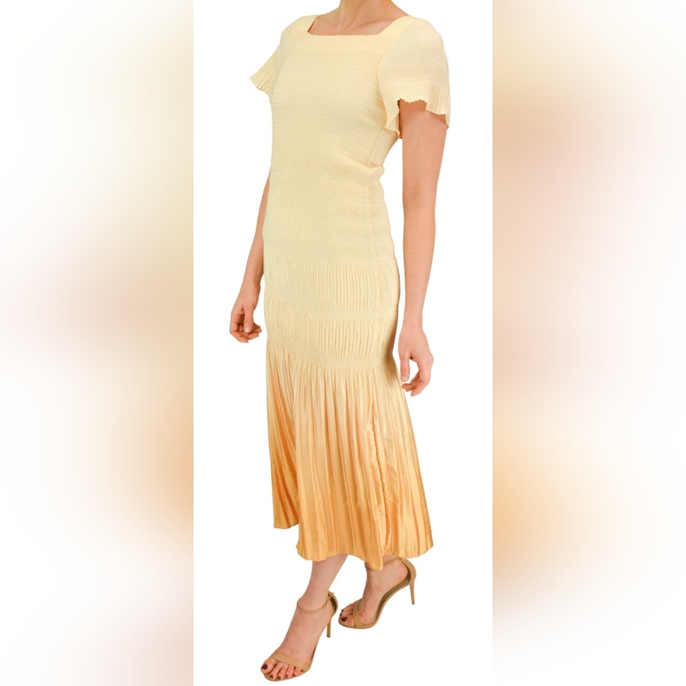 NWT smocked dress